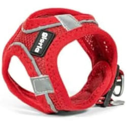 Gloria Harnais pour Chien Trek Star 33,4-35 cm 51-52 cm Rouge L