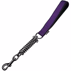 Gloria Laisse pour Chien 41 cm Violet