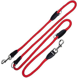 Gloria Laisse pour Chien 1 x 200 cm Rouge