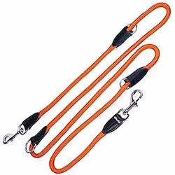 Gloria Laisse pour Chien 1 x 200 cm Orange