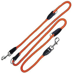 Gloria Laisse pour Chien 1 x 200 cm Orange