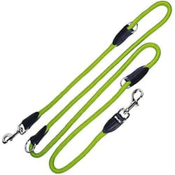 Gloria Laisse pour Chien 1 x 200 cm Vert
