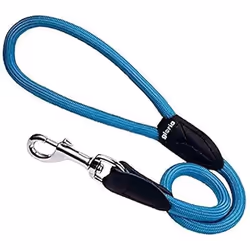 Gloria Laisse pour Chien 1 x 60 cm Turquoise