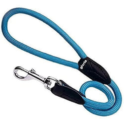 Gloria Laisse pour Chien 1 x 60 cm Turquoise