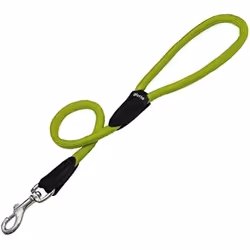 Gloria Laisse pour Chien 1 x 60 cm Vert