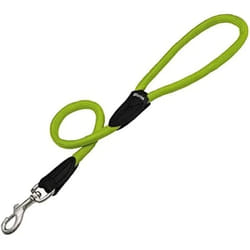 Gloria Laisse pour Chien 1 x 60 cm Vert