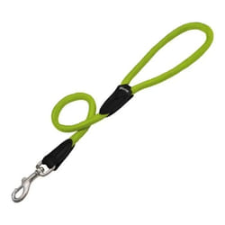 Gloria Laisse pour Chien 1 x 120 cm Vert