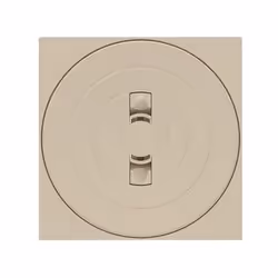 Astral Pool 05280-0700CL090, Couvercle d'écumoire, Beige, Plastique, Carré