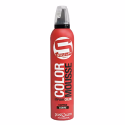 PostQuam PQP05018, Mousse coiffante, Femmes, 300 ml, Cheveux colorés, Fixation, Cuivre
