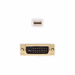 Nanocable 10.15.4202 câble vidéo et adaptateur 2 m Mini DisplayPort DVI Blanc