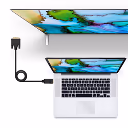 Nanocable 10.15.4502 câble vidéo et adaptateur 2 m DisplayPort DVI Noir - Vue supplémentaire 4