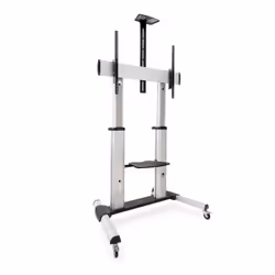 TooQ Partenón, 152,4 cm (60"), 2,54 m (100"), 200 x 200 mm, 1000 x 600 mm, -10 - 5°, Argent