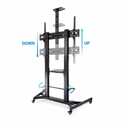 TooQ ZEUS 2,54 m (100") Noir - Vue supplémentaire 4