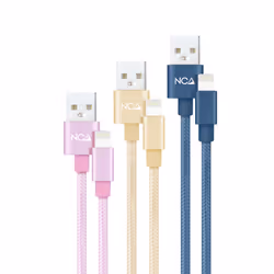 Nanocable 10.10.0401-CO2, 1 m, Lightning, USB A, Mâle, Mâle, Bleu, Or, Rose