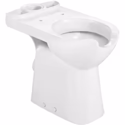 ROCA présente la cuvette avec sortie horizontale et ouverture frontale pour les toilettes à réservoir bas pour les personnes ...