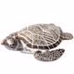 Statue Tortue de mer - Decora - Objets décoratifs - Résine - Hauteur 8 cm - Largeur 28 cm - Profondeur 20 cm
