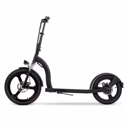 Youin SC5000 trottinette électrique 25 km/h Noir 10 Ah