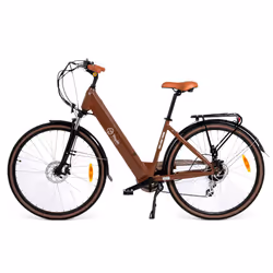Youin BK2128O, Lithium-Ion (Li-Ion), 15 Ah, 36 V, 6 h, 25,6 kg, Aluminium