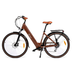 Youin BK2128O vélo électrique Marron Aluminium 28" 25,6 kg Lithium-Ion (Li-Ion)