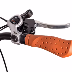 Youin BK2128O vélo électrique Marron Aluminium 28" 25,6 kg Lithium-Ion (Li-Ion)