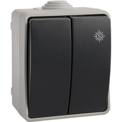 Double Commutateur Étanche EDM Protection IP44 - 16A 250V - Gris Polypropylène - Dimensions 65x80x55mm