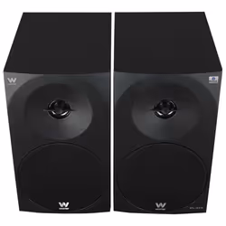 Woxter DL-410 BT haut-parleur 1-voie Noir Avec fil 150 W