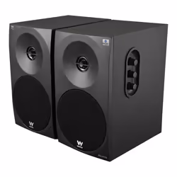 Woxter DL-410 BT haut-parleur 1-voie Noir Avec fil 150 W - Vue supplémentaire 5