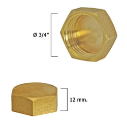 CIS - Bouchon aveugle femelle en laiton 3/4