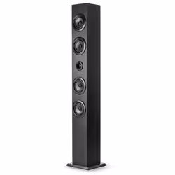 ELBE TW-402-BT haut-parleur Noir Sans fil 40 W