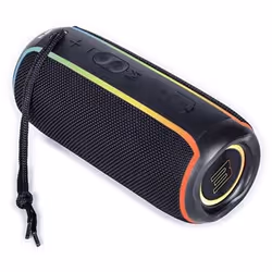 ELBE ALT-N12-TWS haut-parleur portable et de fête Orateur du parti Noir 20 W