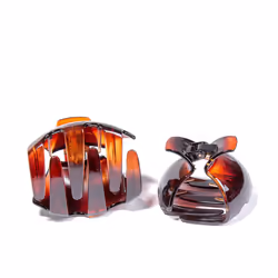 Clips Coquillages Français moyens 1 u