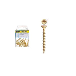 Vis Bichromatée Pozidriv Tête Plate 3.0x20 mm. 28 unités