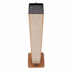 Aiwa TSBT-270WD haut-parleur Bois Avec fil &sans fil 50 W