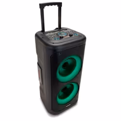 Aiwa Haut-parleurs bluetooth portables Noir 350 W