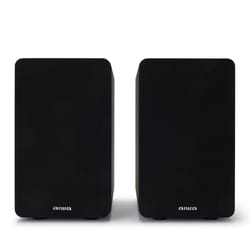 Reflexion SP-A100 haut-parleur Noir Avec fil 140 W