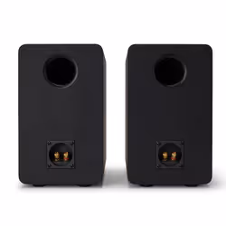 Reflexion SP-A100 haut-parleur Noir Avec fil 140 W