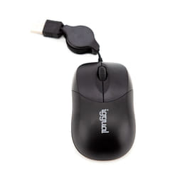 iggual IGG316832 souris Ambidextre USB Type-A 800 DPI