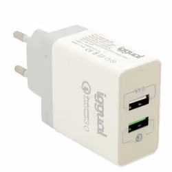 iggual IGG317389, Intérieure, Secteur, 12 V, Blanc