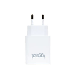 iggual IGG318188 chargeur d'appareils mobiles Universel Blanc Secteur Intérieure