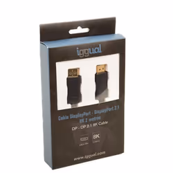 iggual IGG318362 câble DisplayPort 2 m Noir