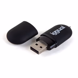 iggual IGG318492, 16 Go, USB Type-A, 2.0, 480 Mo/s, Casquette, Noir