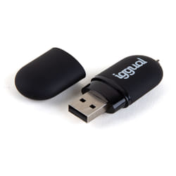 iggual IGG318492 lecteur USB flash 16 Go USB Type-A 2.0 Noir