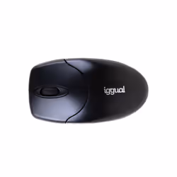 iggual WOM-BASIC2-1000DPI, Ambidextre, RF sans fil, 1000 DPI, Noir