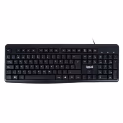 iggual CK-BASIC2-105T, Taille réelle (100 %), Avec fil, USB, QWERTY, Noir