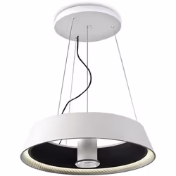 LEDS C4 Ringofire Ø600 00-0053-05-BW Colgante de uso interior para iluminar hacia abajo. Material de la estructura: Acero, Po ...