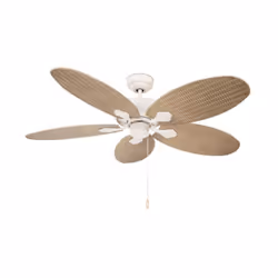 Le raccord est un ventilateur de plafond classique. Le raccord a trois vitesses, avec une fonction inverse, ce qui le rend id ...