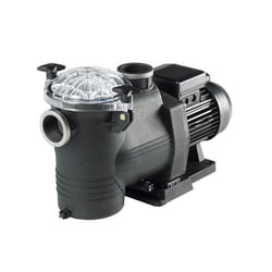 Astral - pompe de filtration auto-amorçante 1 cv - 15.5m3/h mono - se2n100mfldfra