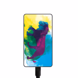 Smartoools Card Mc11 Lion Lithium Polymère (LiPo) 10000 mAh Multicolore