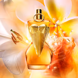 Gaultier Divine Le Parfum eau de parfum vapeur intense rechargeable 100 ml