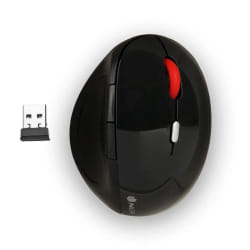 NGS EVO Ergo souris Droitier RF sans fil Optique 2400 DPI